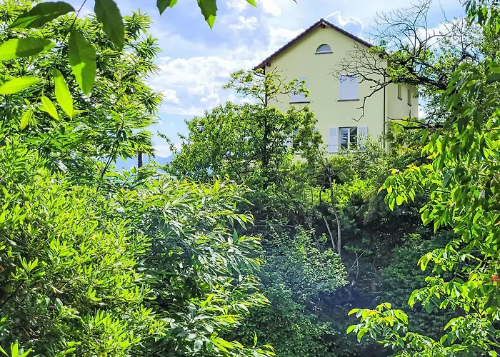 Grande Dame By Fewotessin Minusio